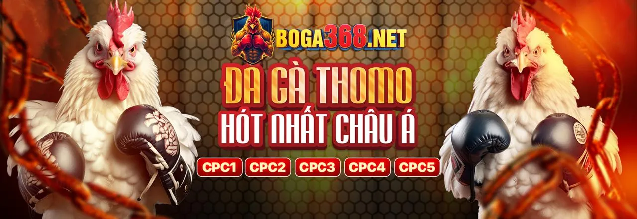 Đá Gà Trực Tuyến 78win01 Link Mới